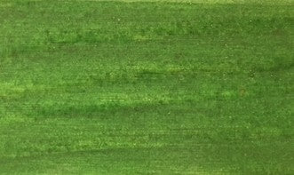 Impregnante per Legno Casette Pergole Castagno Noce Verde Bianco Abete Quercia