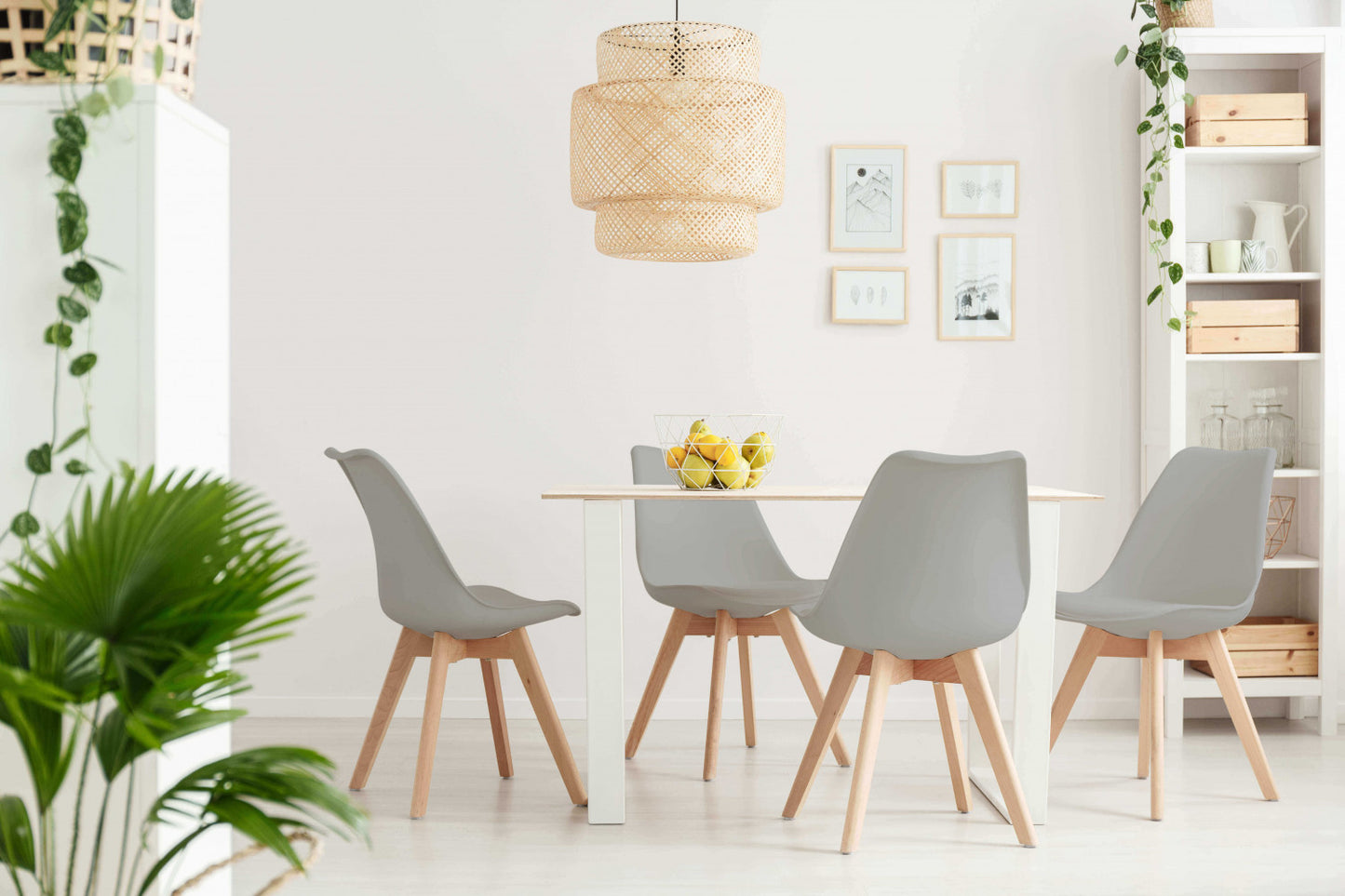 Sedia Grigia in Polipropilene e Legno Senza Braccioli Design Moderno
