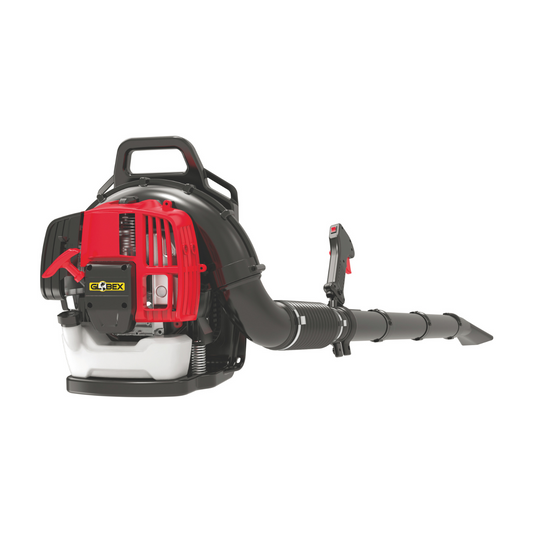 Soffiatore Globex con Motore a Scoppio per Giardinaggio Soffia Foglie