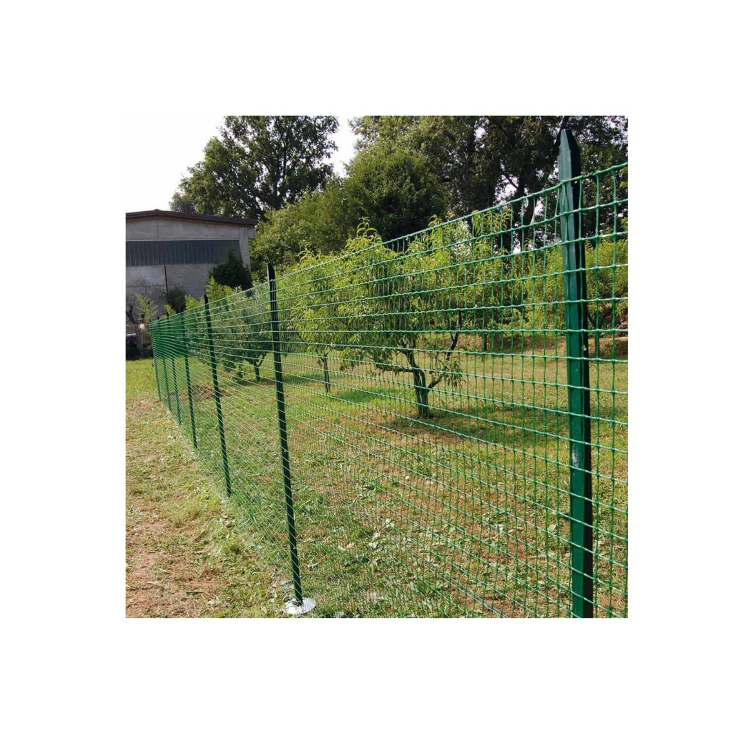 10 Paletti per Recinzione Alti 200 cm in Ferro Verde per Rete Metallica