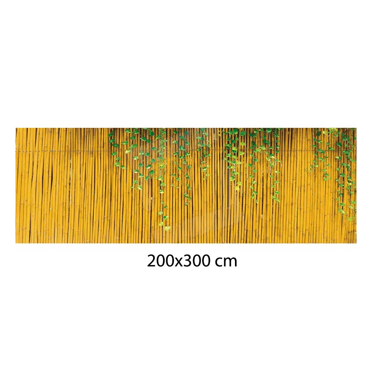 Arella di Bambù 200x300 Recinzione per Cancello Frangivista