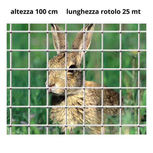 Rete zincata 12x12 mm, filo 0,90 mm, altezza 100 cm, rotolo 25 m