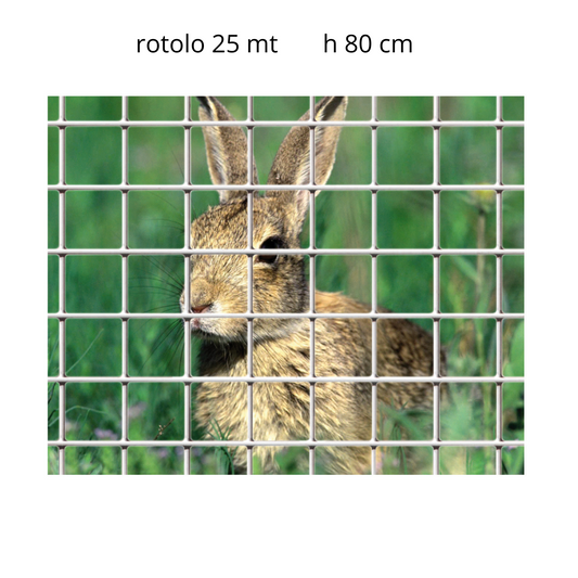 Rete zincata 12x12 mm, filo 0,90 mm, altezza 80 cm, rotolo 25 m