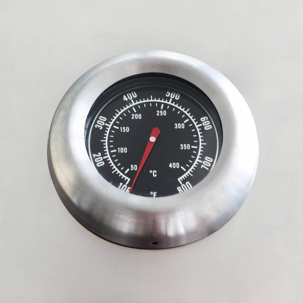 Barbecue a gas 5 fuochi in acciaio inox griglia e piastra ghisa