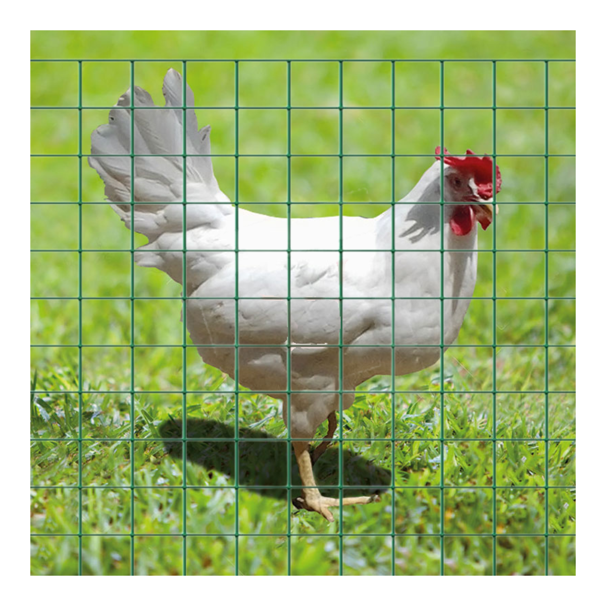 Rete Recinzione plastificata 150 h colore Verde 25 mt