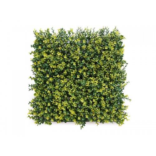 Siepe Finta 50 x 50 Decorativa da Parete